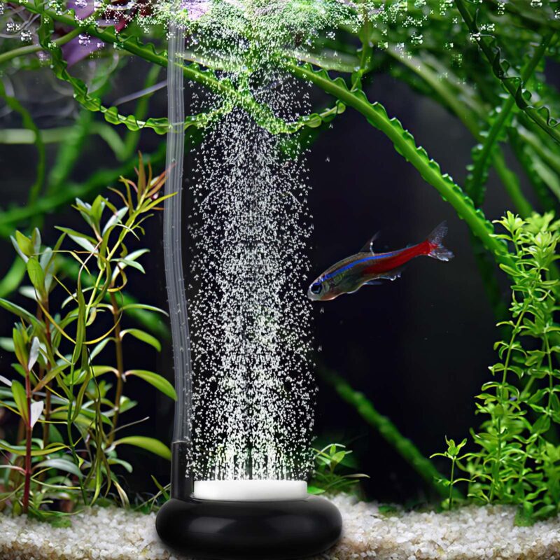 What are the benefits of air pumps in an aquarium? ChibiAquarium